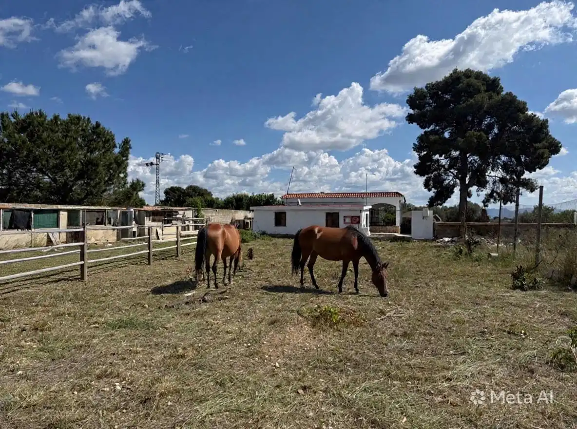 Exterior view of Houses for sale in Llíria  with Air Conditioner, Private garden and Terrace