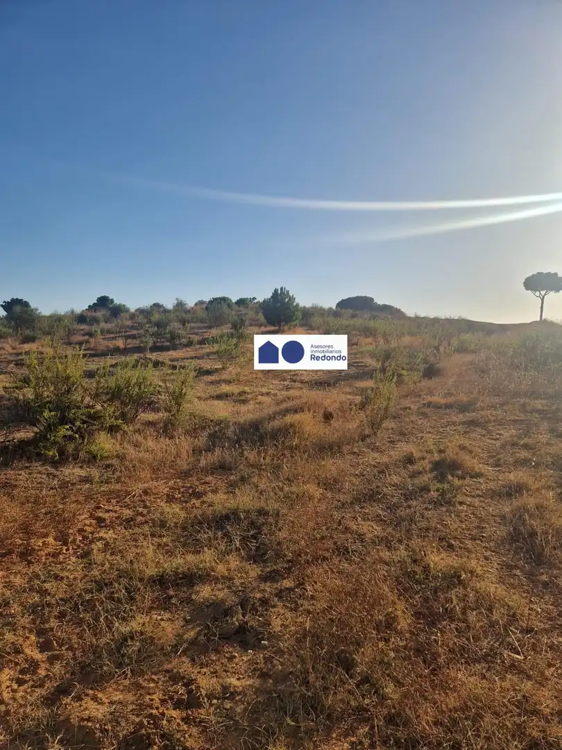 Terreno residencial en venta en Moguer, imagen 2