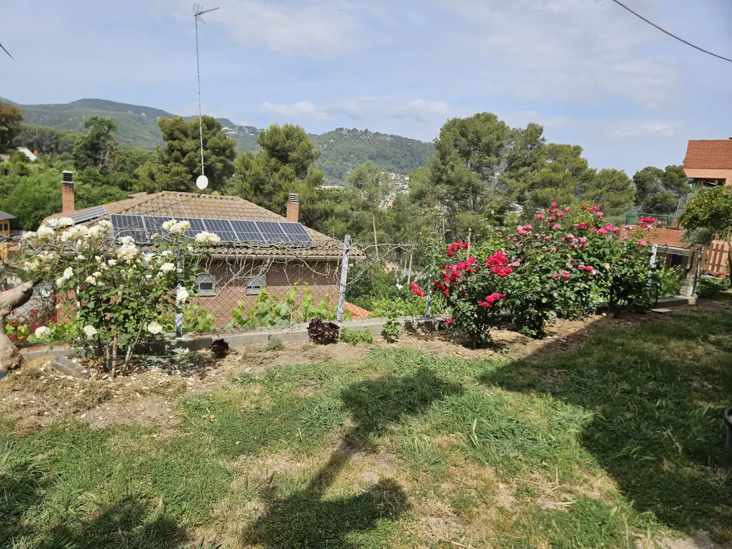 Jardí de Casa o xalet en venda en Cervelló amb Aire condicionat, Calefacció i Jardí privat