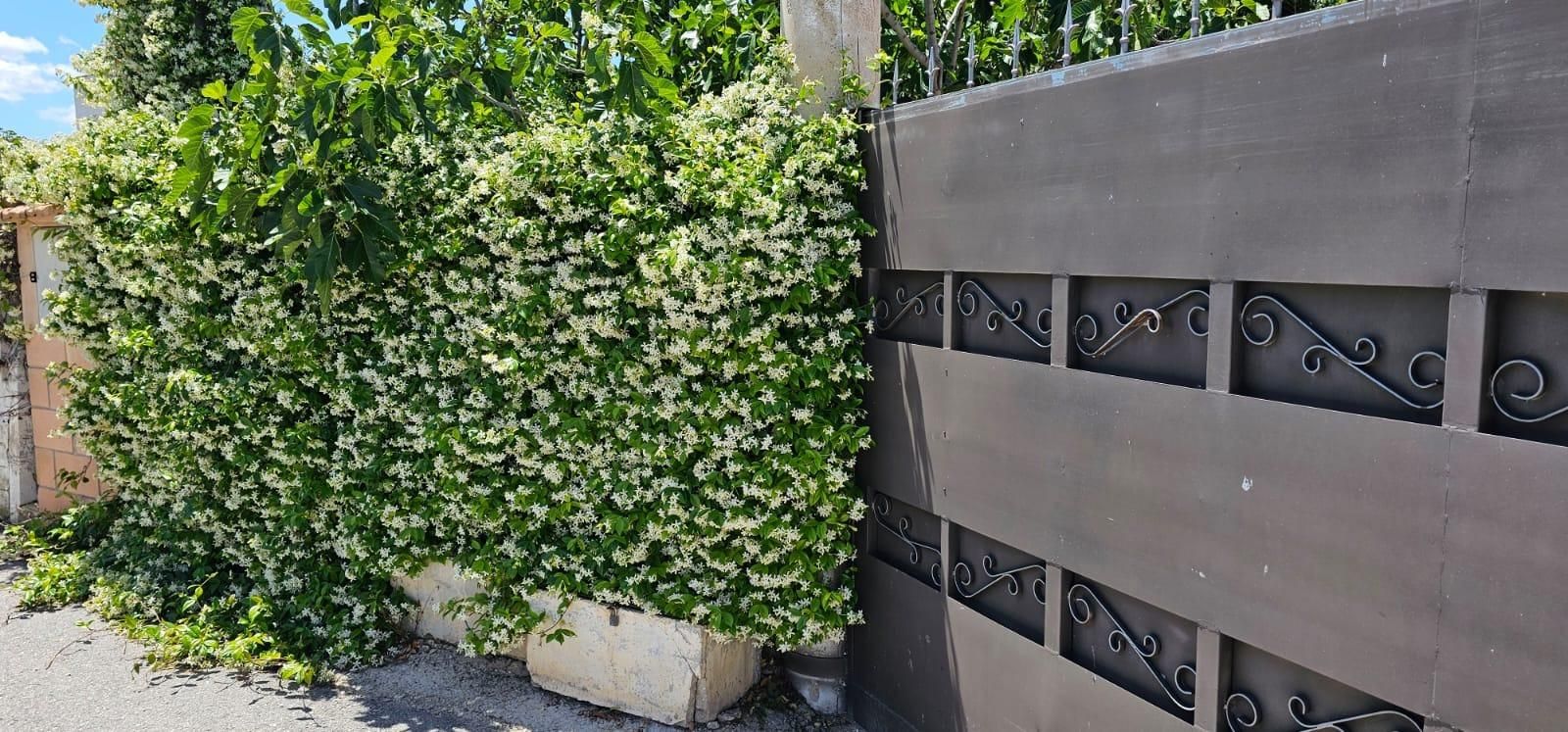 Vista exterior de Casa o xalet en venda en Villena amb Calefacció i Piscina