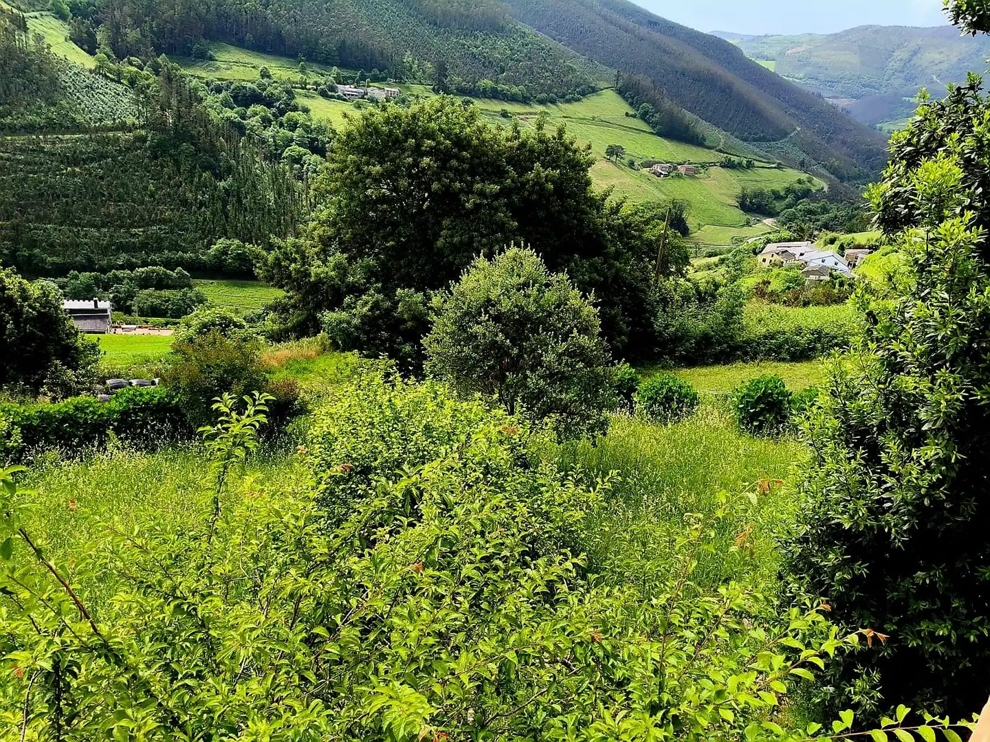 Finca rústica en venda en Vegadeo amb Calefacció i Balcó