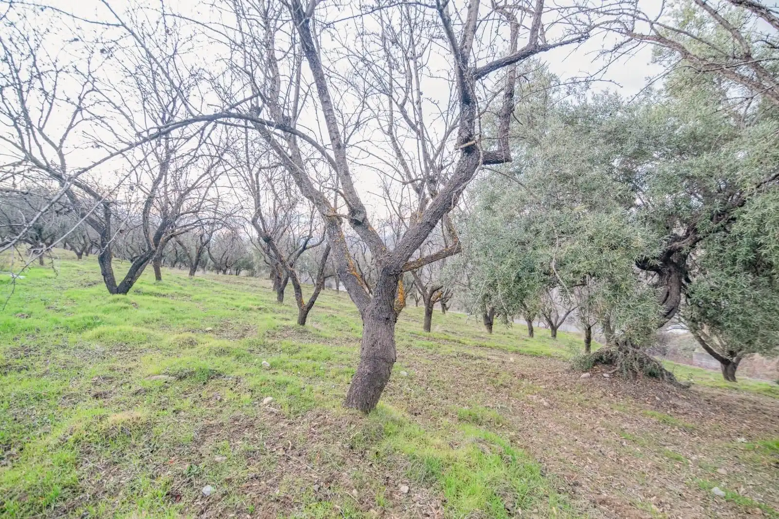 Mini appartamento in vendita a Pinos Genil, imagen 15