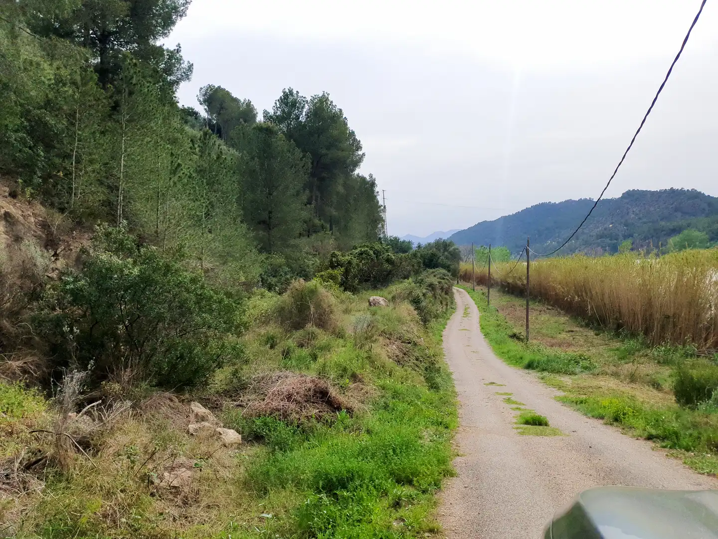 Terreno rústico en venta en Benifallet, imagen 19