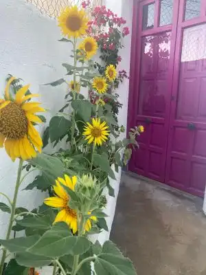 Jardín de Finca rústica en venta en Pegalajar con Terraza, Trastero y Amueblado