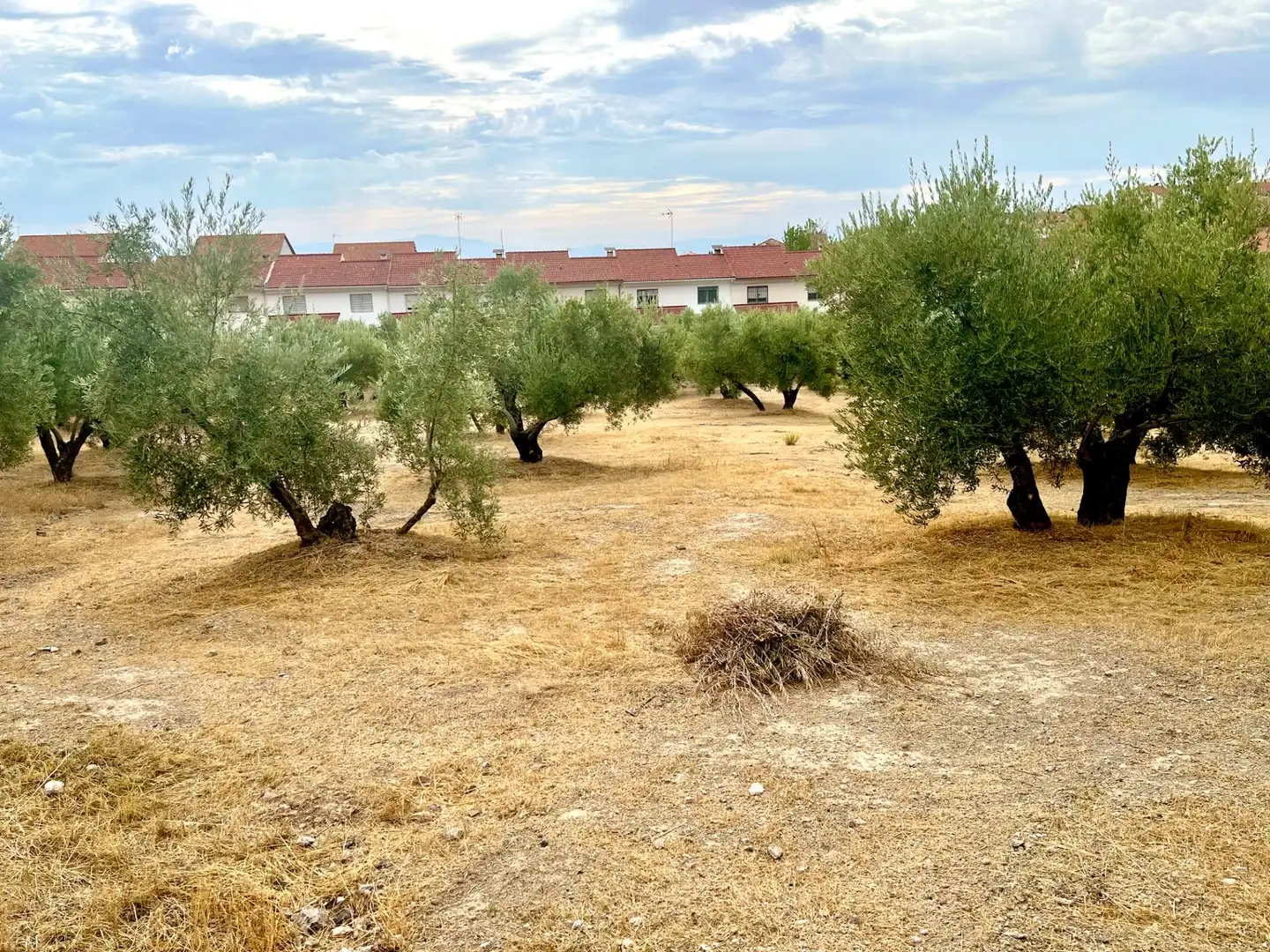 Rustikales Grundstück zum Verkauf in Nívar, imagen 12