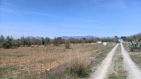 Finca Rústica, imatge 4