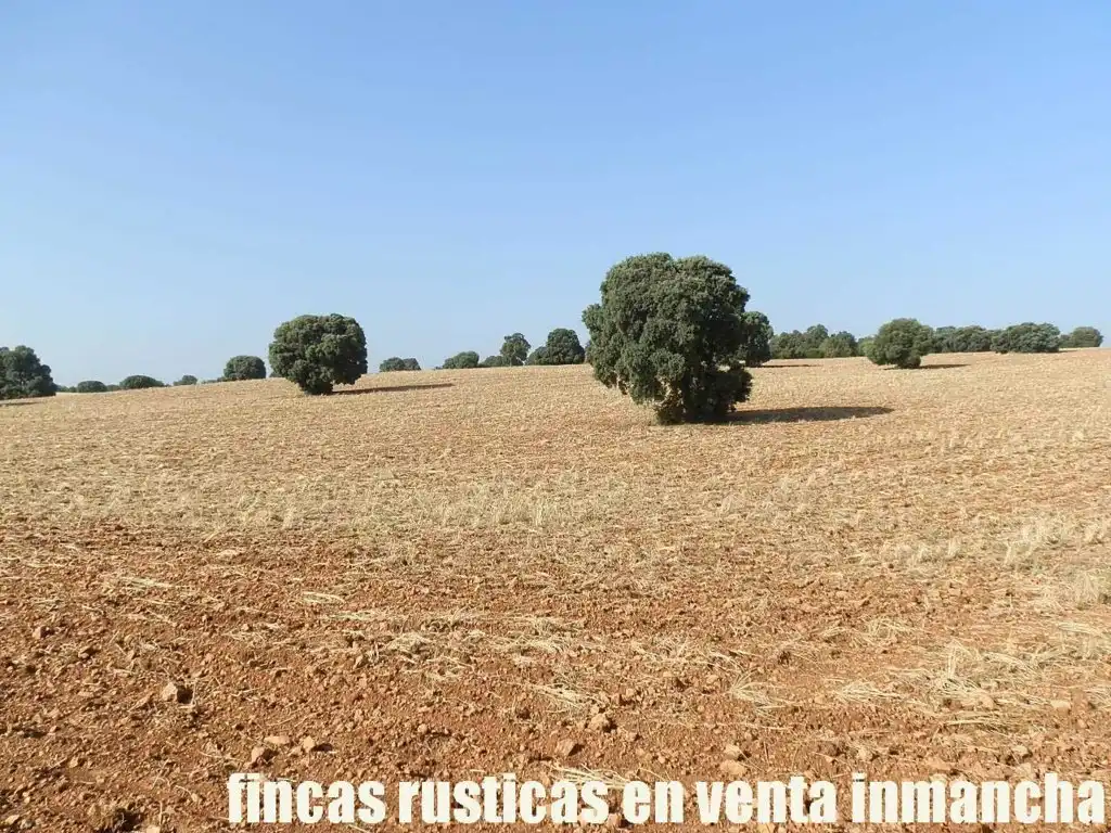 Terreno en venta en Alcaraz
