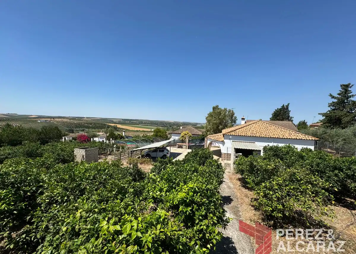 Terreno rústico en venta en Calle Chalets la Algaba 4, imagen 7