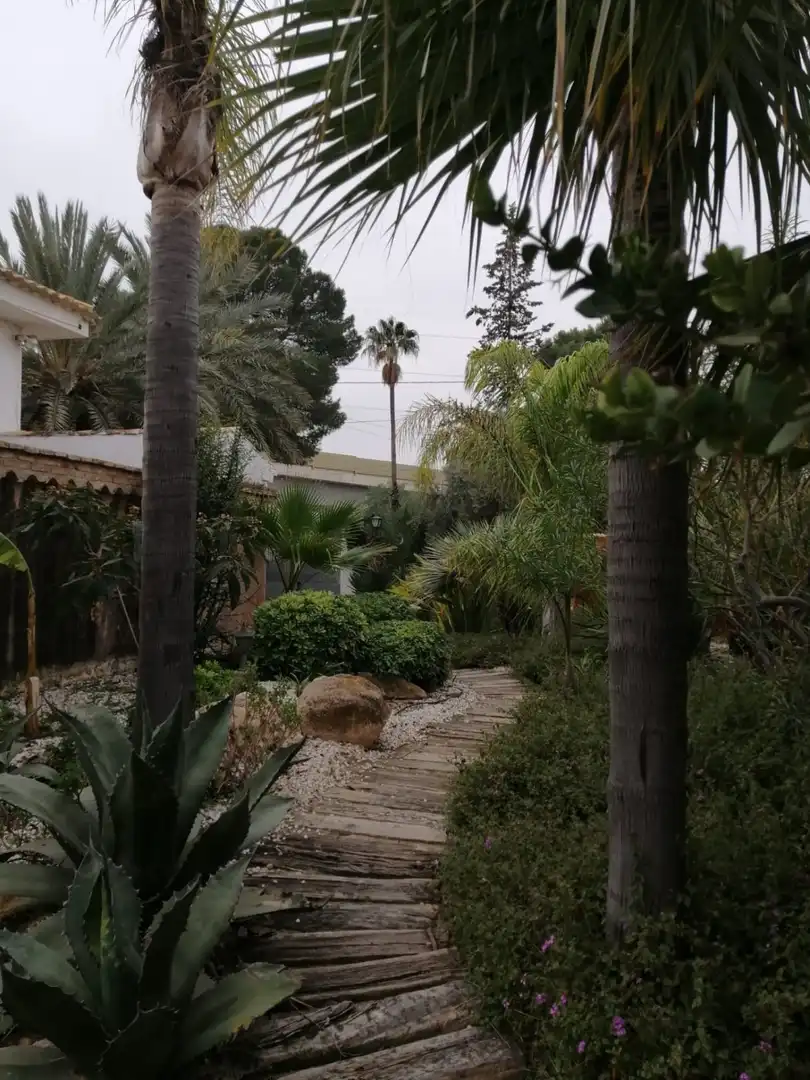 Vista exterior de Casa o xalet en venda en Murcia amb Calefacció, Jardí privat i Parquet