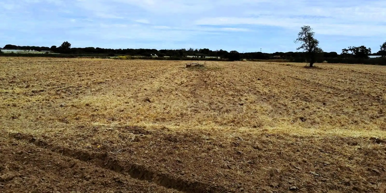 Terreno en venta en Villamanrique de la Condesa
