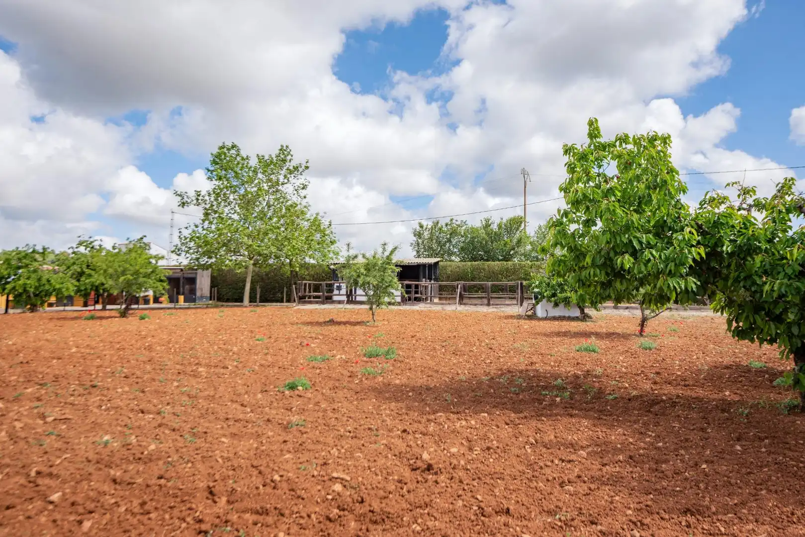 Maison avec jardin à vendre à Villanueva del Rosario, imagen 53