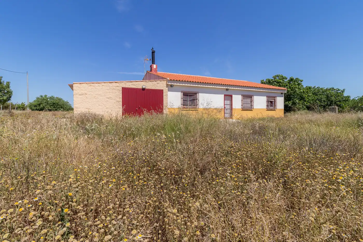 Finca rústica en venda en Mula