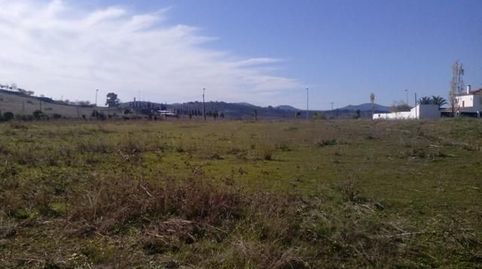 Mejor parcela rústica de la zona situada en Las Pilillas de Bélmez (Córdoba), consta de 6440 m2 , 1 fanega de tierra llana, tiene , imatge 4