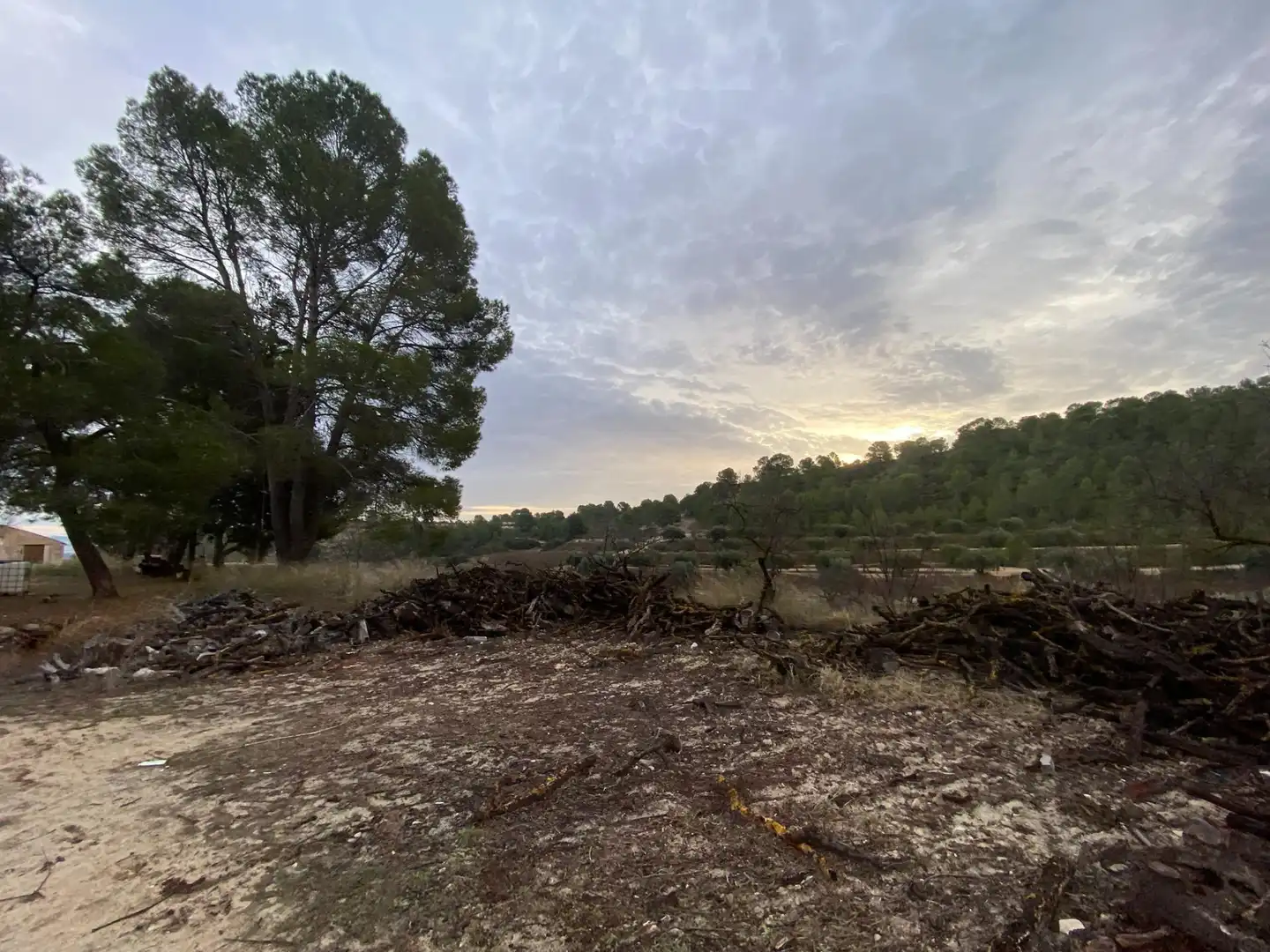 Terreni e lotti in vendita a Moratalla, imagen 19