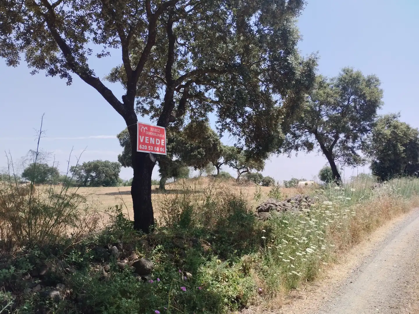 Terreni e lotti in vendita a Jerez de los Caballeros, imagen 17