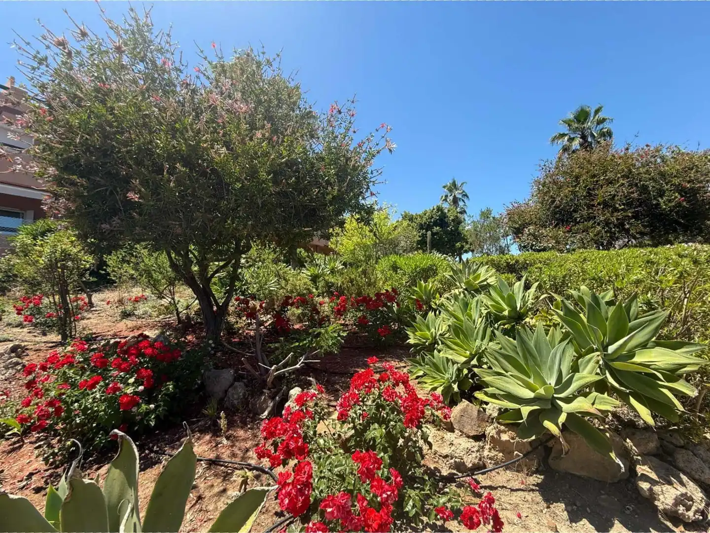 Penthouse mit Pool zum Verkauf in Urbanizacion CASARES DEL SOL (UR7B), imagen 16