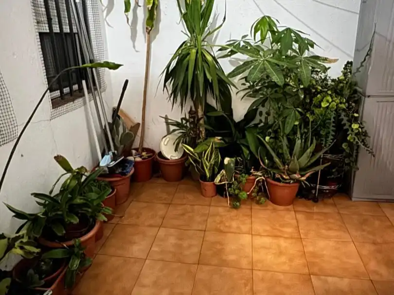 Garden of Flat for sale in Bellavista - La Palmera
