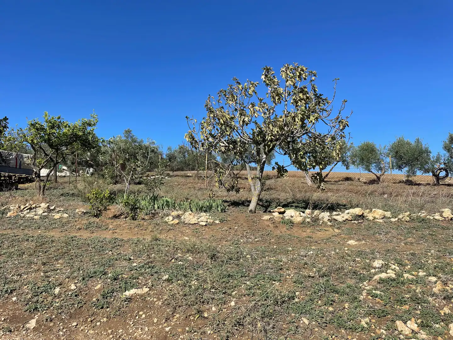 Terreno rustico in vendita a Arcos de la Frontera, imagen 17