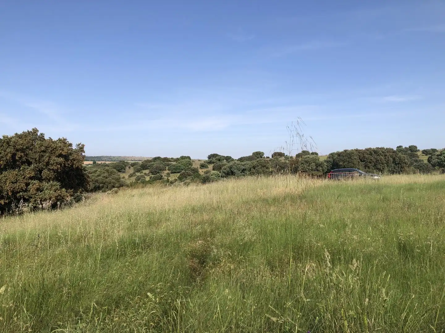 Terreni e lotti in vendita a Pelayos del Arroyo, imagen 3