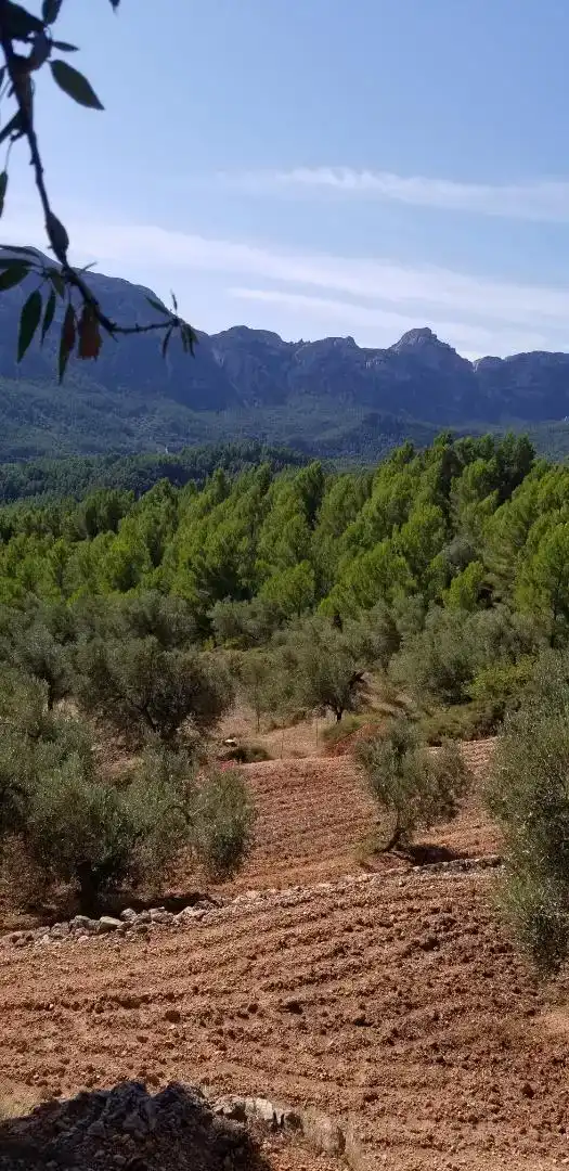 Finca rústica en venda en Amposta