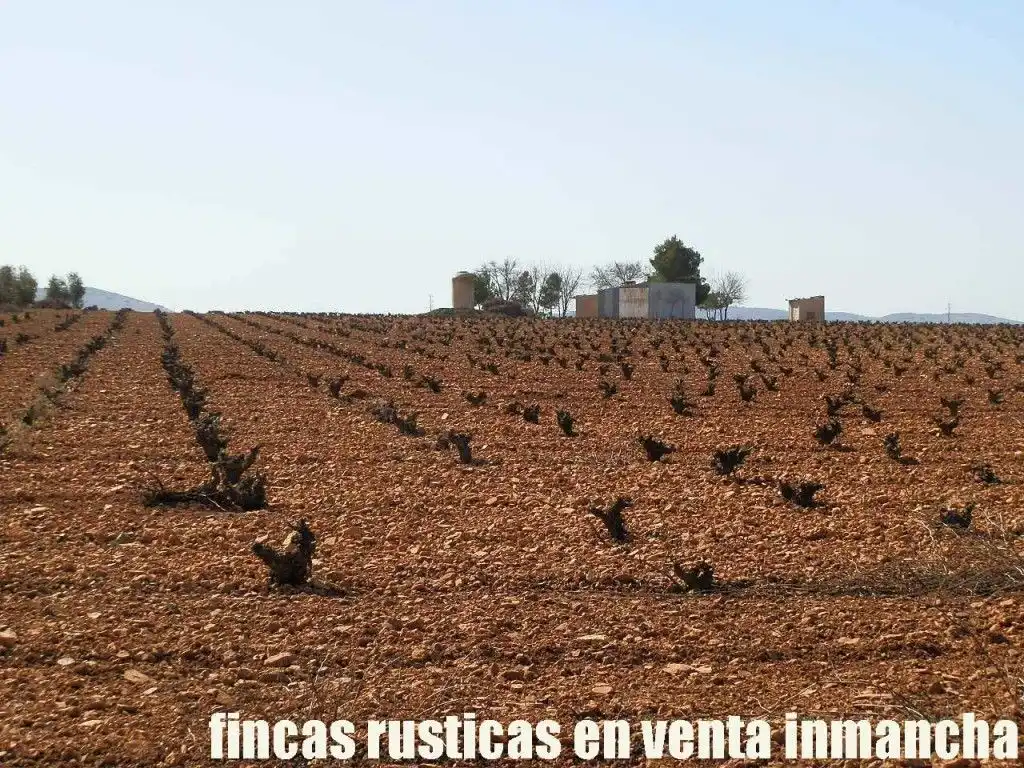 Rural land for sale in Valdepeñas, imagen 13