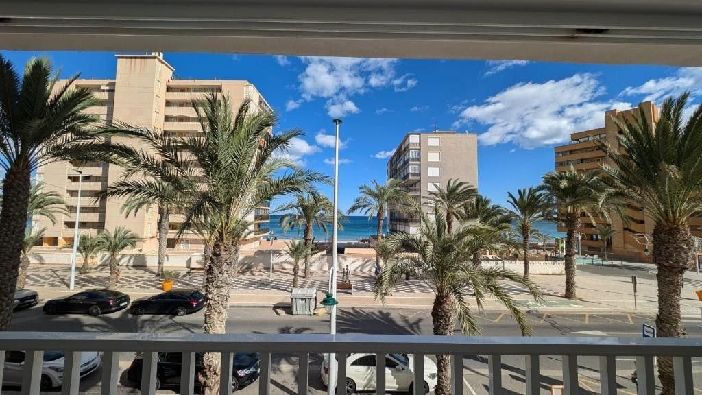 Vista exterior de Apartament en venda en Elche / Elx amb Aire condicionat, Terrassa i Moblat