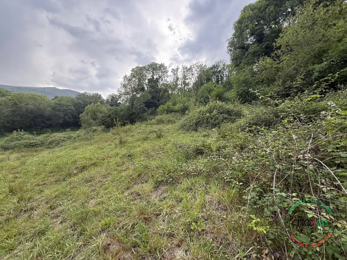 Land for sale in Quirós