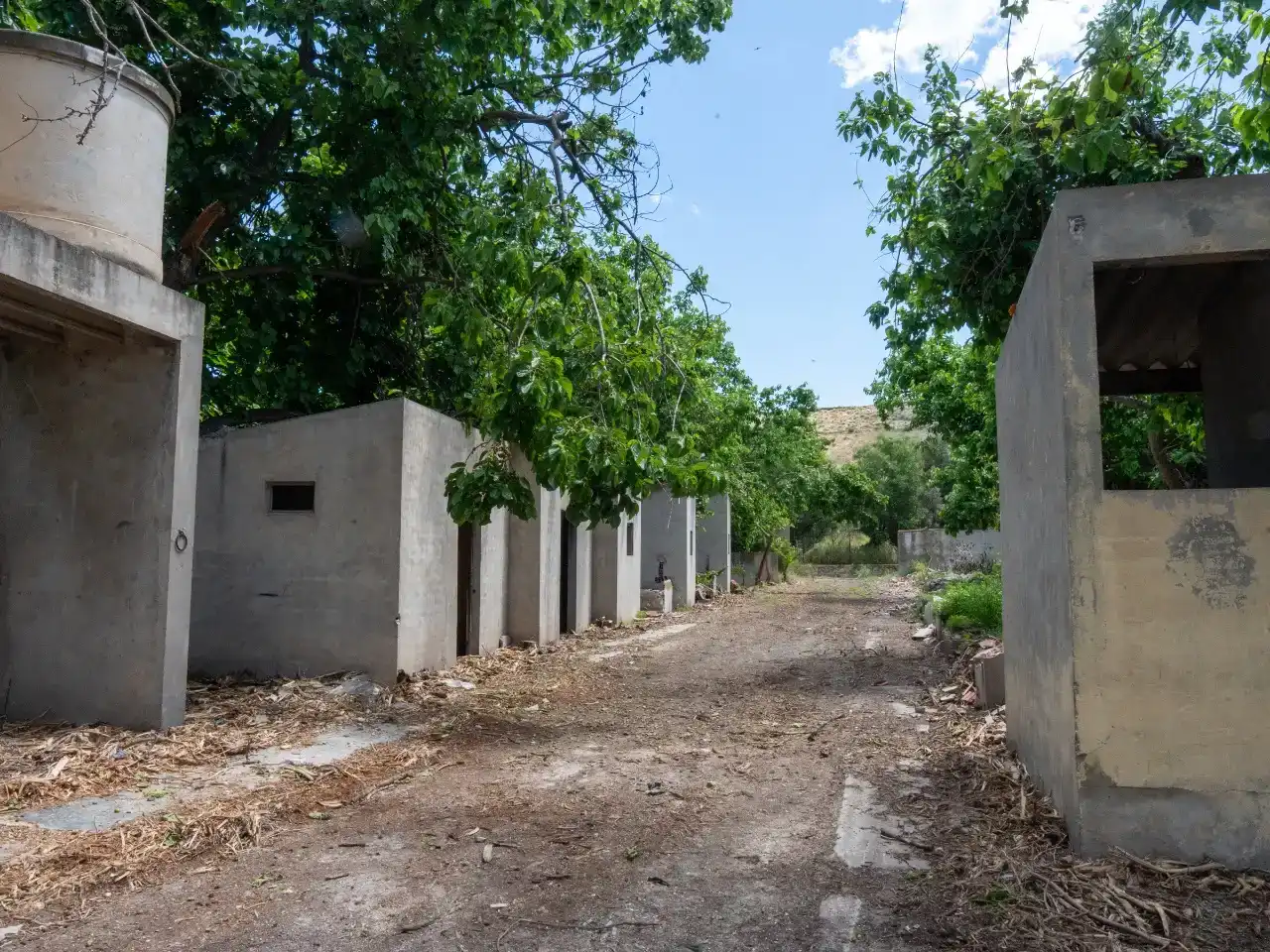 Vista exterior de Finca rústica en venda en Alicante / Alacant