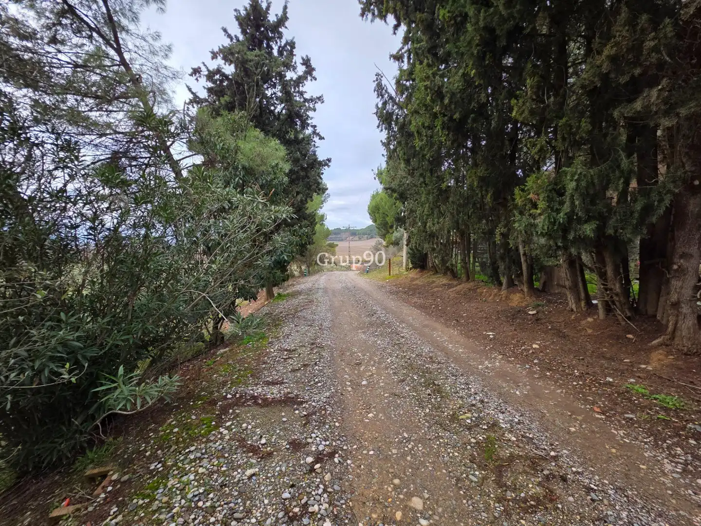 Terreno rustico in vendita a Alpicat, imagen 3