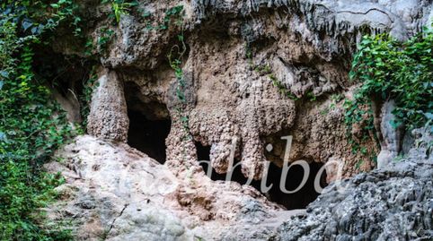 Foto 5 de Casa o xalet en venda a Calle Mayor, Sellent, Valencia