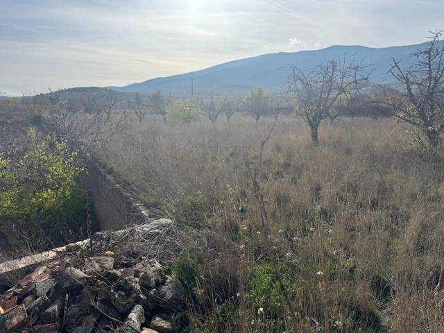 Terreno en Venta en porvenir en Jarque de Moncayo
