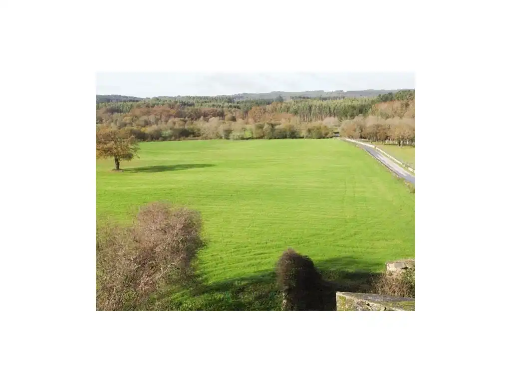 Houses for sale in Unnamed Road, Castroverde
