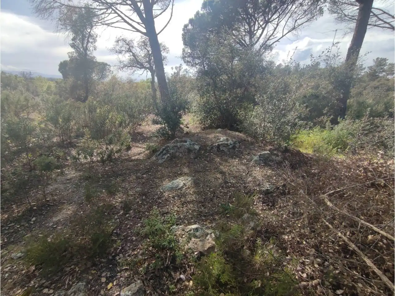 Terreny residencial en venda a Calle Pla de l´Estany, imagen 18