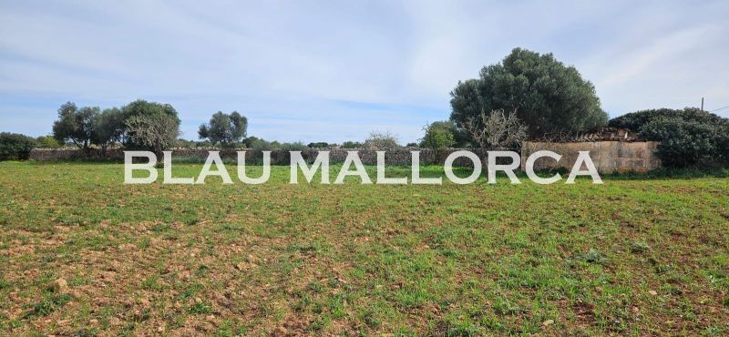 Finca rústica en venda en Manacor