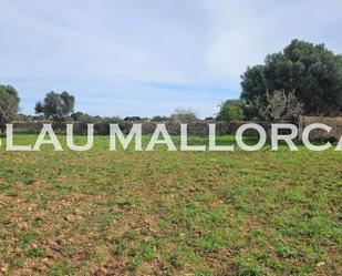 Finca rústica en venda en Manacor