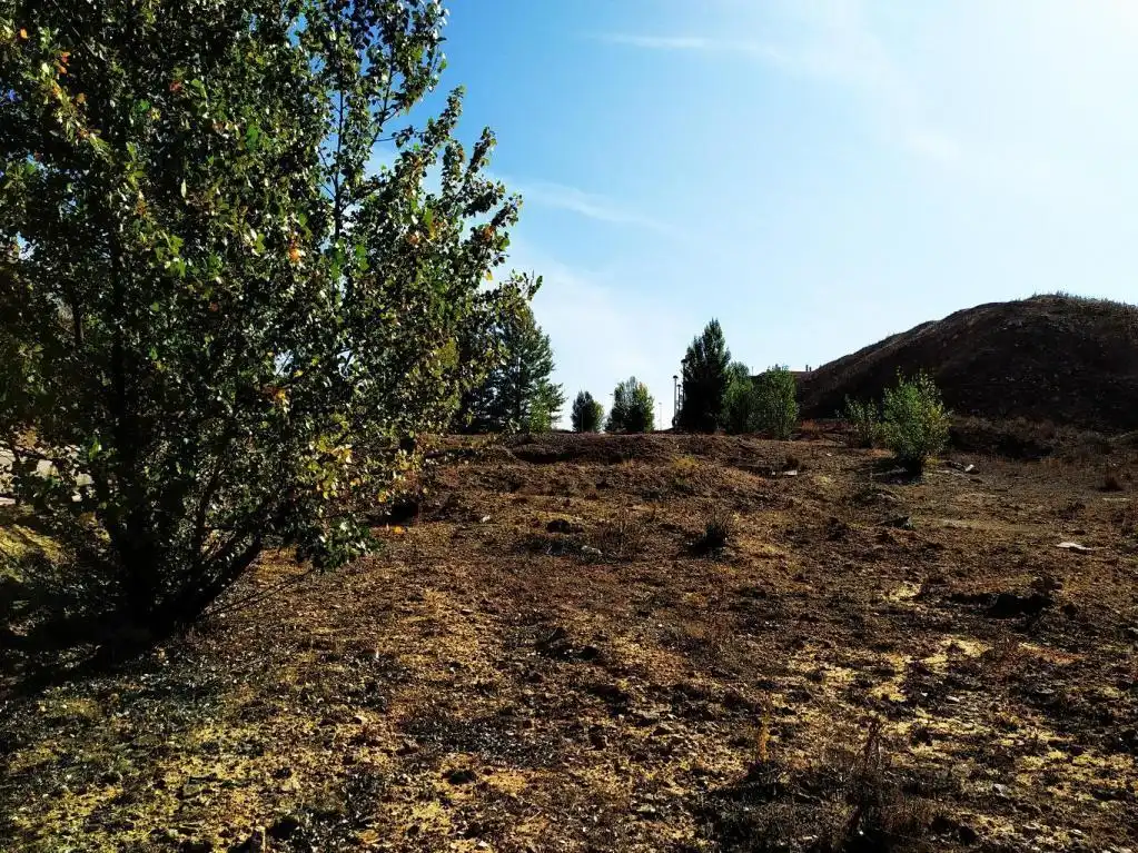 Land for sale in Buniel