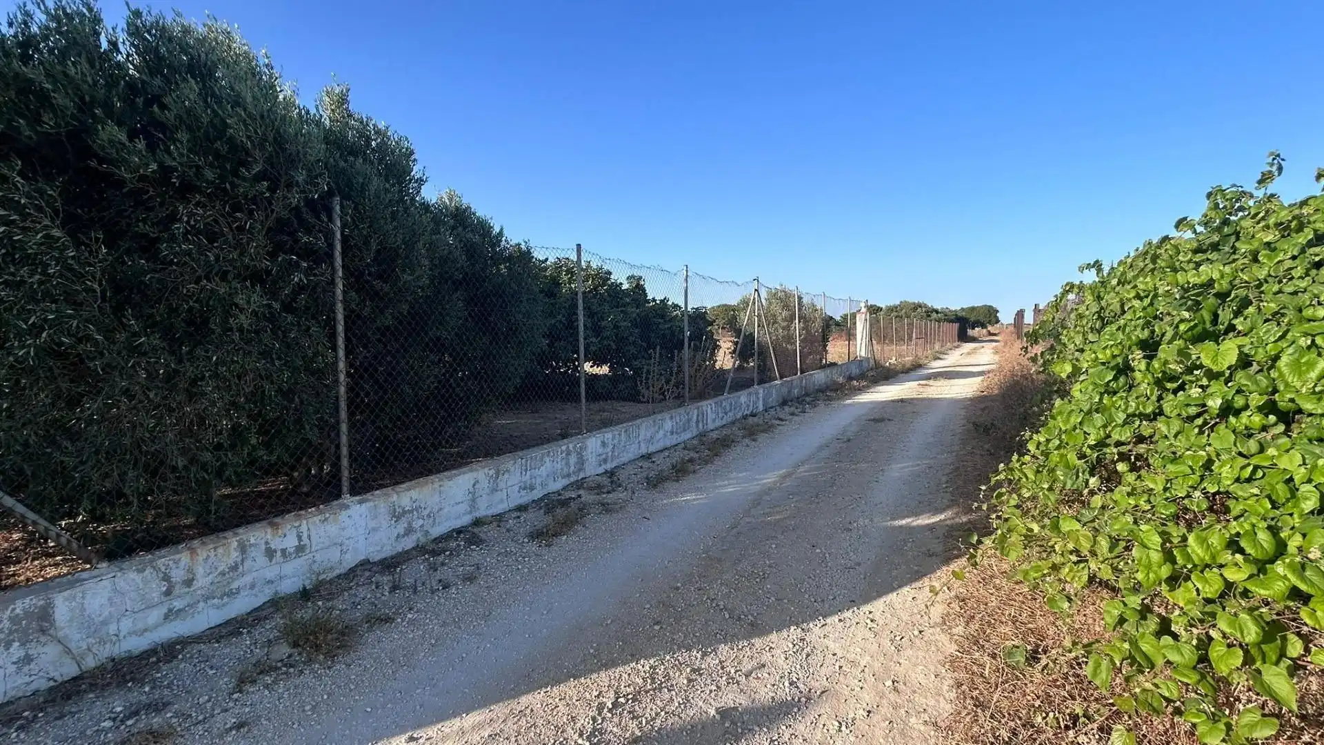 Terreni e lotti in vendita a Los Franceses – La Vega, imagen 7