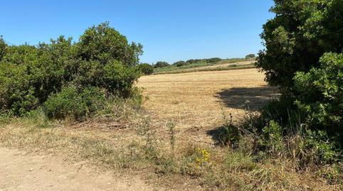 Foto 2 de Finca rústica en venda a El Almedral, Cádiz