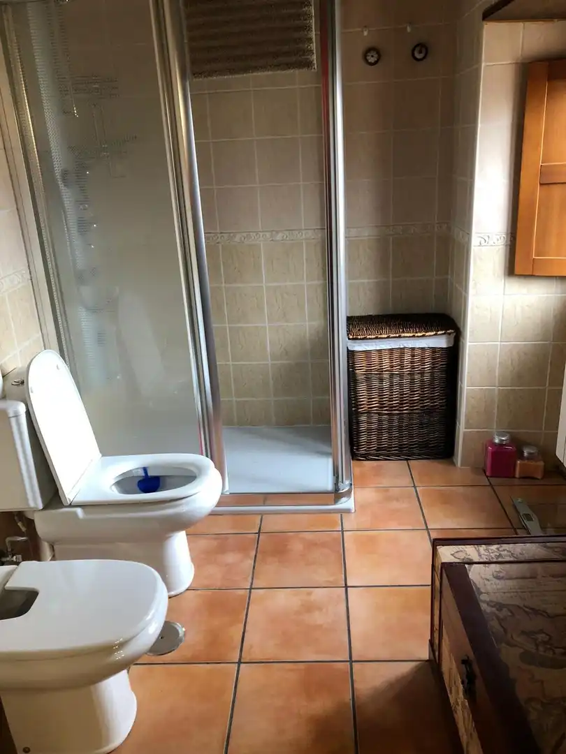 Bathroom of Houses for sale in Cubillos del Sil  with Terrace and Furnished