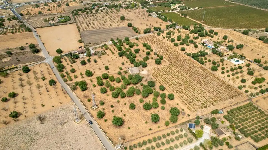Land for sale in Consell