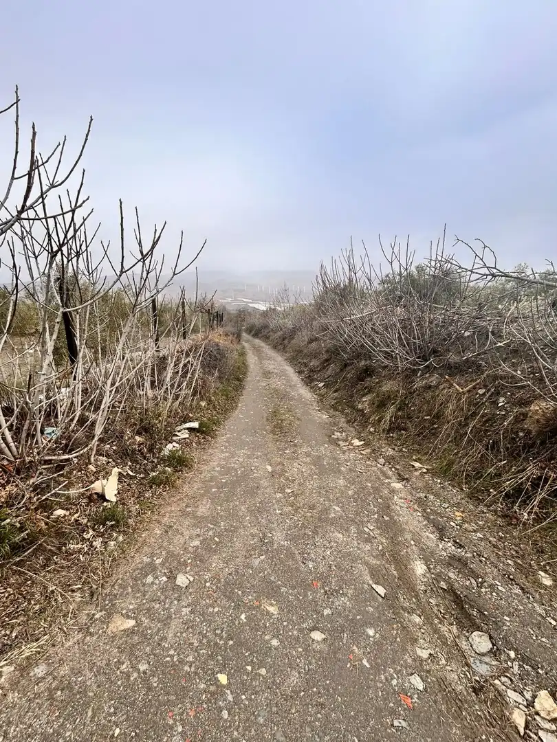 Vista exterior de Finca rústica en venda en Abrucena