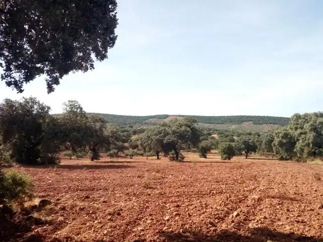 Terreny residencial en venda a Villanueva del Duque, imagen 2