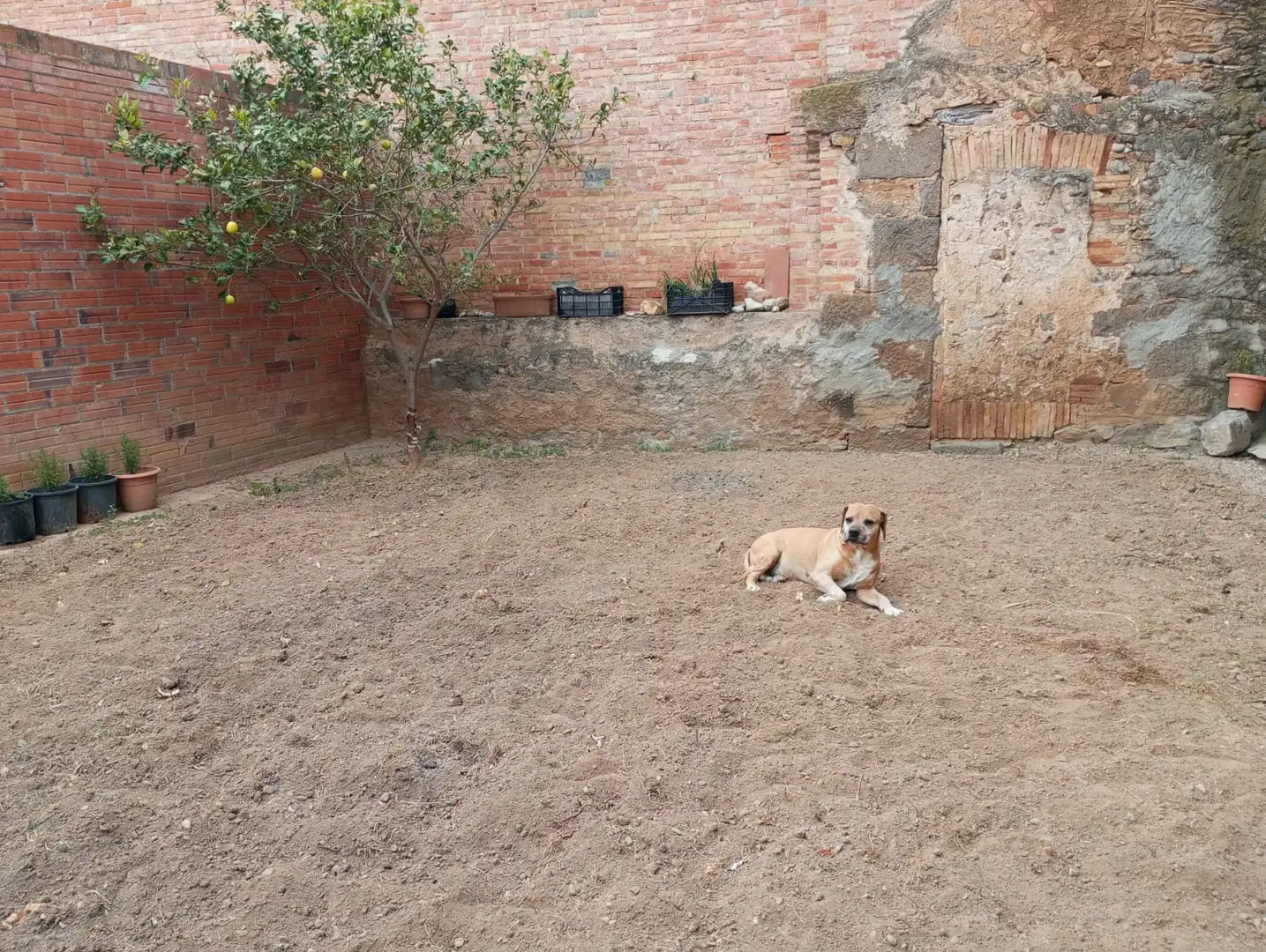 Jardí de Casa o xalet en venda en Riumors amb Calefacció, Jardí privat i Terrassa