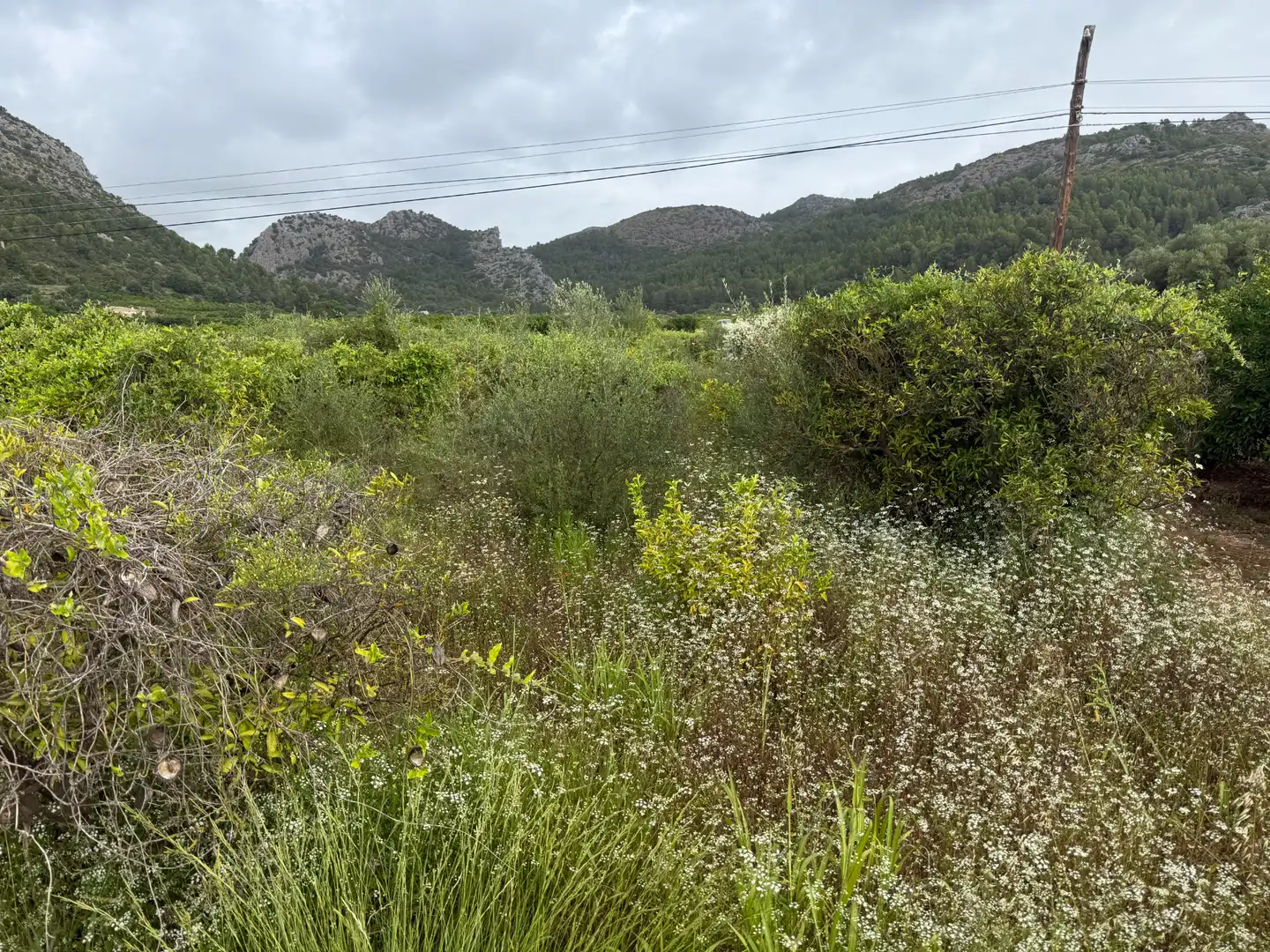 Rustikales Grundstück zum Verkauf in Sagra, imagen 2