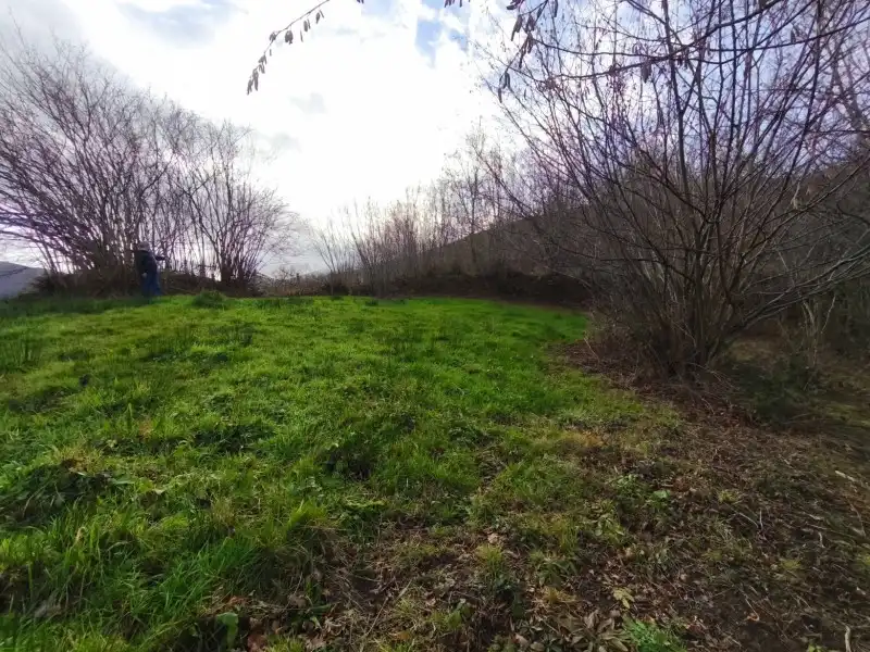 Terreni e lotti in vendita a Rionansa, imagen 9