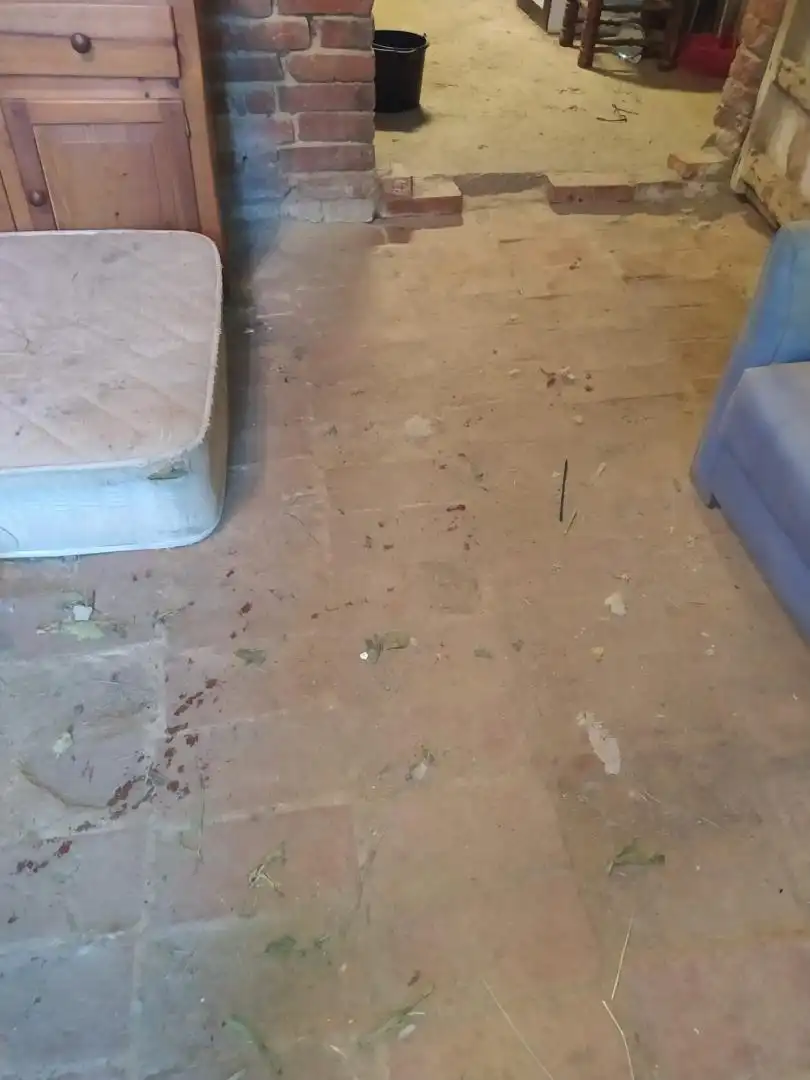 Finca rústica en venta en Riells i Viabrea