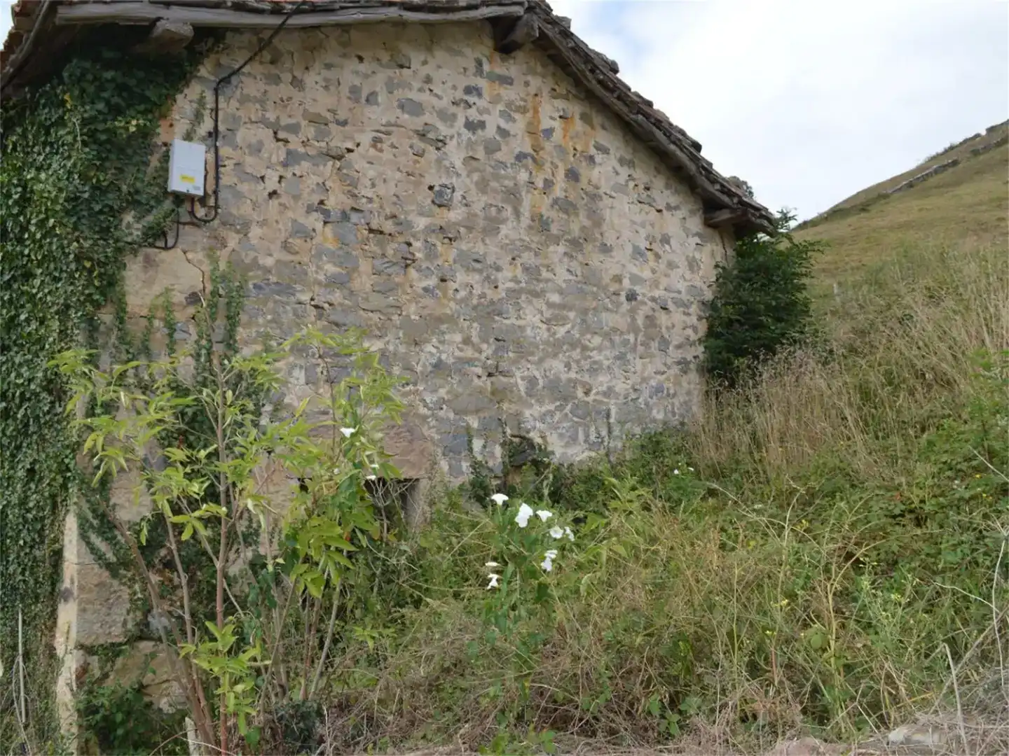Vista exterior de Finca rústica en venda en Villacarriedo