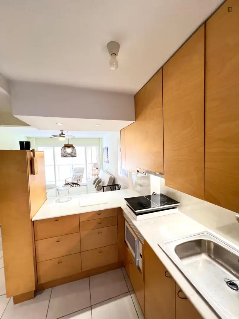Kitchen of Apartments for rent in El Campello  with Air Conditioner, Furnished and Oven
