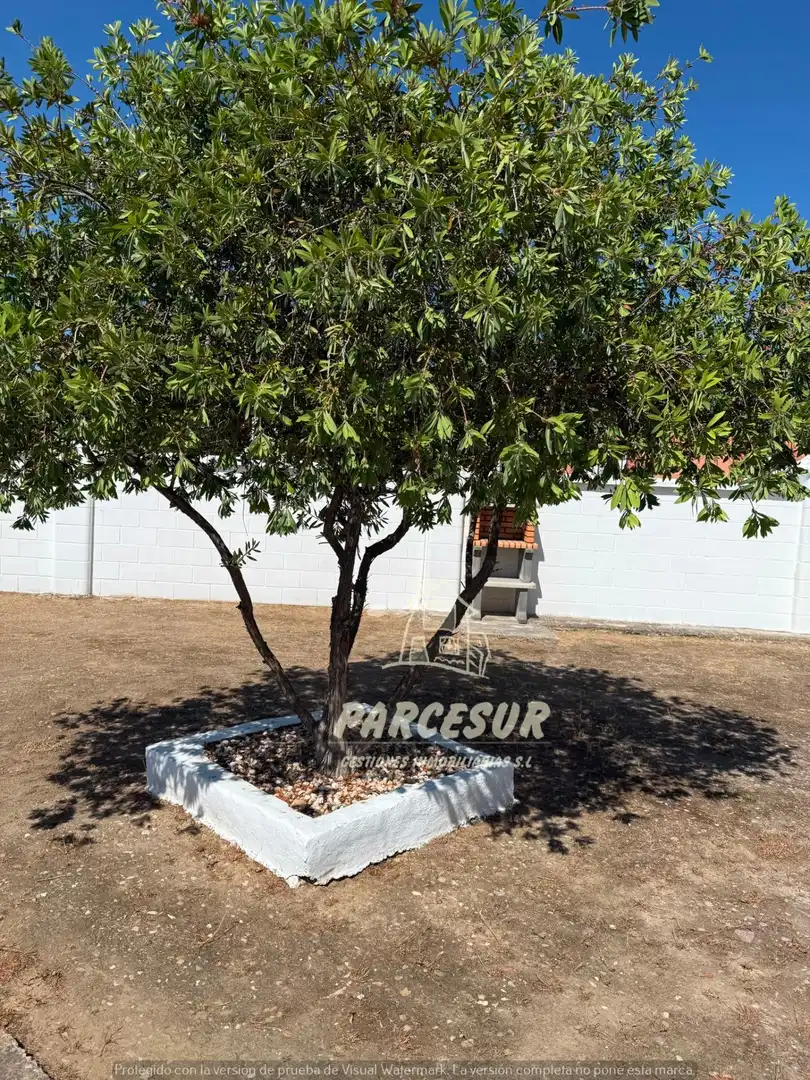 Haus mit Pool zum Verkauf in Almodóvar del Río, imagen 4