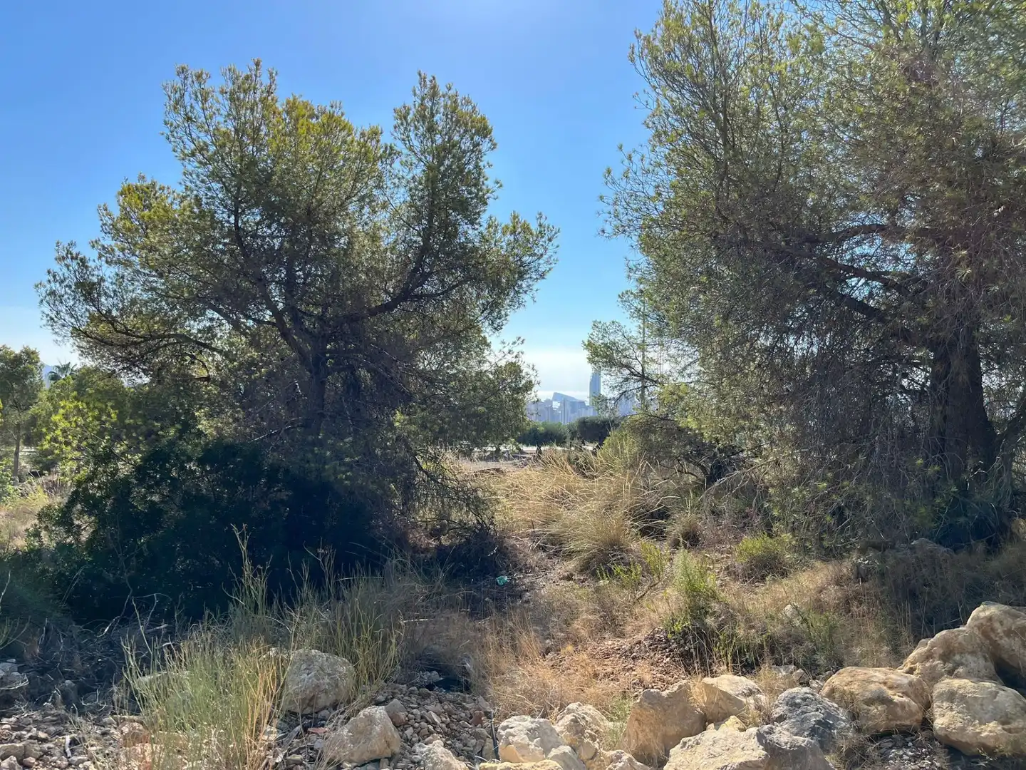 Terrenys i solars en venda a Golf Bahía, imagen 7
